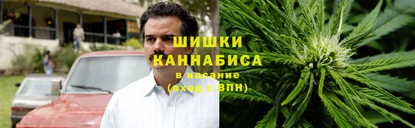 бошки Бородино