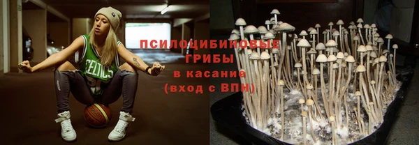MESCALINE Нязепетровск