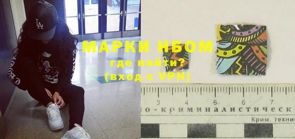 бошки Бородино