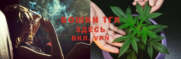 бошки Бородино