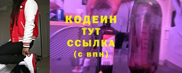 бошки Бородино