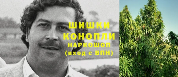 бошки Бородино