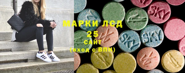 бошки Бородино